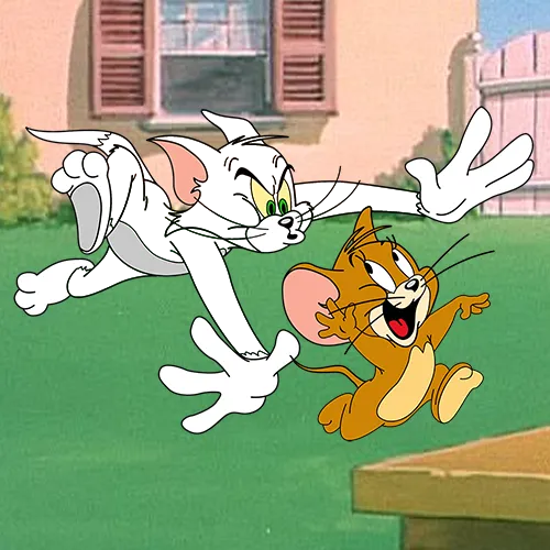 Tom — Body Fur